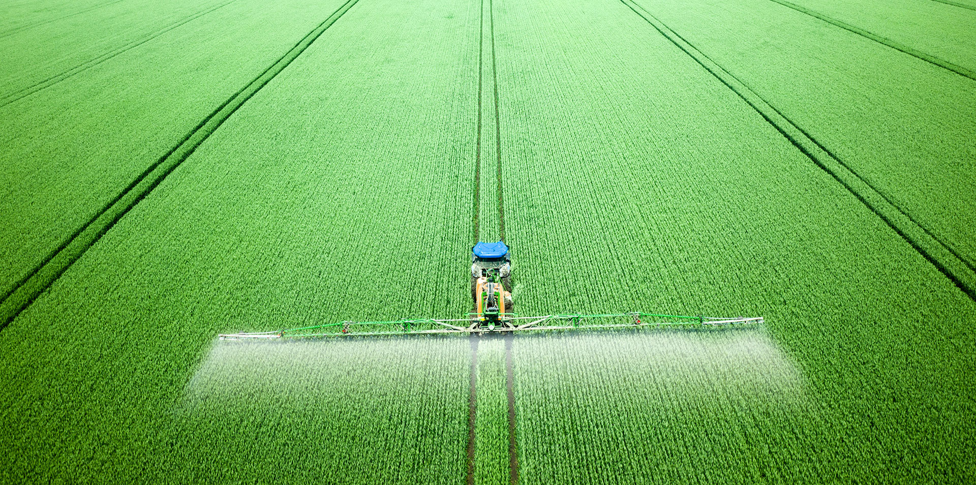 Ein weites, grünes Feld, welches von einem Traktor gedüngt wird, dessen blaue Farbgebung einen Kotrapunkt zur grünen Weite bildet